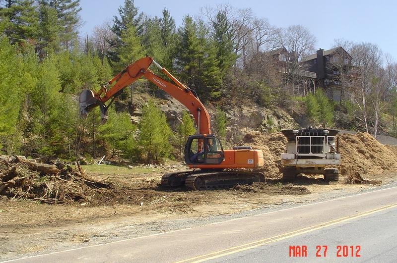 Root Removal in Manitowoc