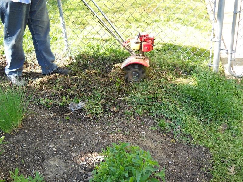 Multiple Stump Discounts in Manitowoc